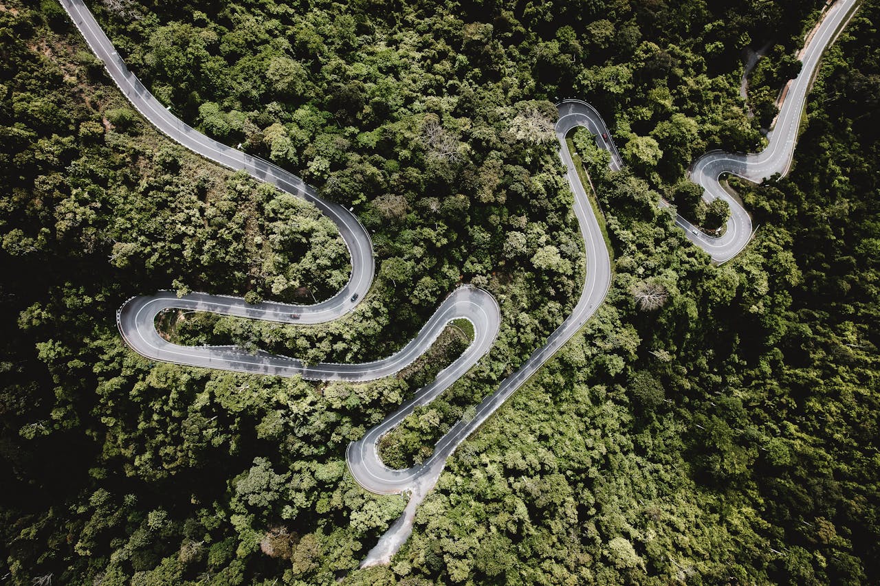 Bird's eye view of a winding road through lush green forest, depicting nature's beauty.